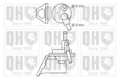 QUINTON HAZELL QFP6