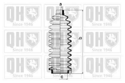 QUINTON HAZELL QG1175