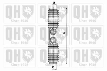 QUINTON HAZELL QG1184