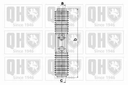 QUINTON HAZELL QG1267