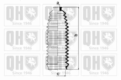 QUINTON HAZELL QG1304