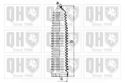 QUINTON HAZELL QG1487