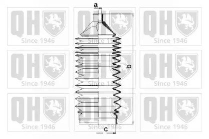 QUINTON HAZELL QG1502