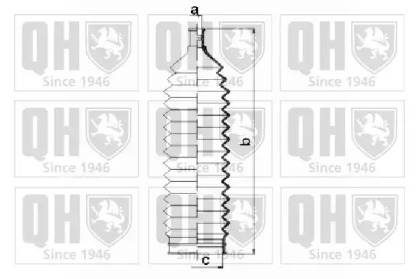 QUINTON HAZELL QG1505