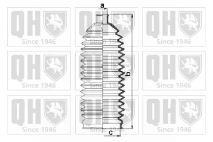 QUINTON HAZELL QG1507