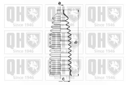 QUINTON HAZELL QG1508