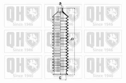 QUINTON HAZELL QG1679