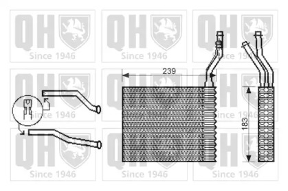 QUINTON HAZELL QHR2203