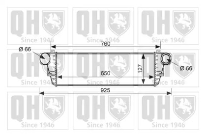 QUINTON HAZELL QIC111