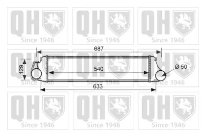 QUINTON HAZELL QIC119