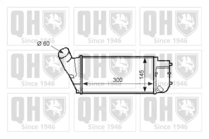 QUINTON HAZELL QIC130