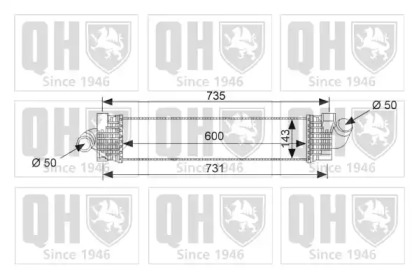 QUINTON HAZELL QIC132