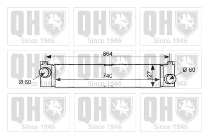 QUINTON HAZELL QIC137