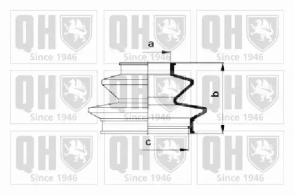 QUINTON HAZELL QJB2185