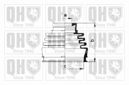 QUINTON HAZELL QJB220