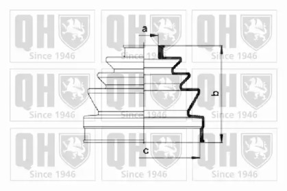 QUINTON HAZELL QJB2505