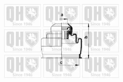 QUINTON HAZELL QJB2661