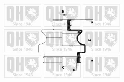 QUINTON HAZELL QJB460