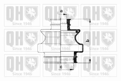 QUINTON HAZELL QJB645