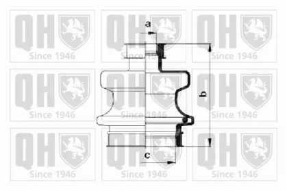 QUINTON HAZELL QJB904