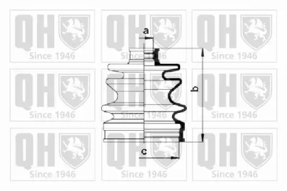 QUINTON HAZELL QJB921