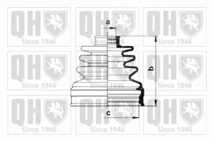 QUINTON HAZELL QJB980