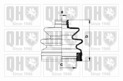 QUINTON HAZELL QJB981