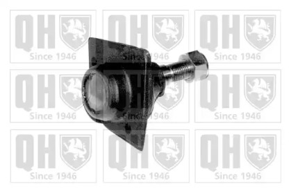 QUINTON HAZELL QSJ795S