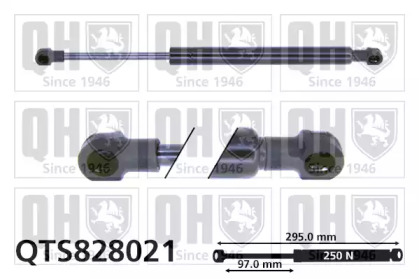 QUINTON HAZELL QTS828021