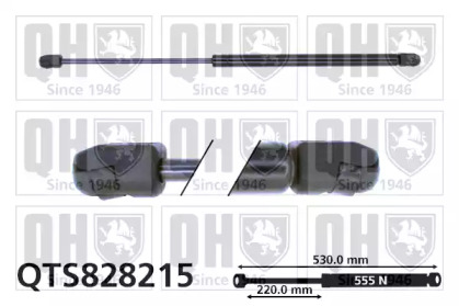 QUINTON HAZELL QTS828215