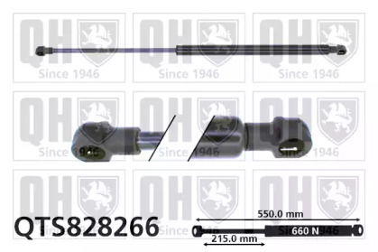 QUINTON HAZELL QTS828266