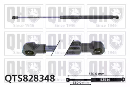 QUINTON HAZELL QTS828348