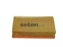 fram ca5613