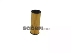 FRAM CH10955ECO