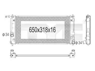 TYC 736-1006