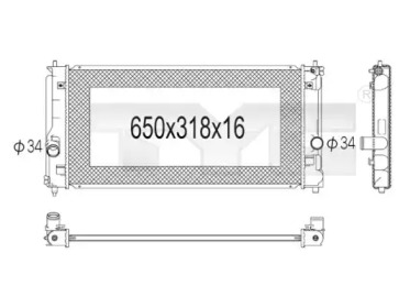 TYC 736-1021