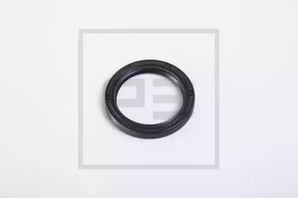 PE AUTOMOTIVE 010.827-00A