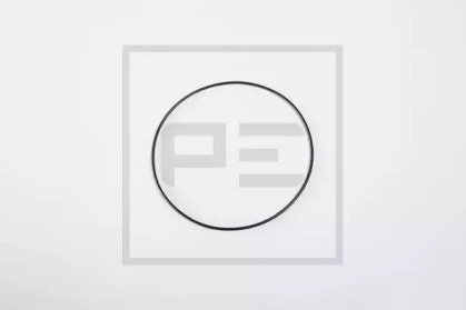 PE AUTOMOTIVE 066.173-00A
