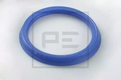 PE AUTOMOTIVE 100.021-00A