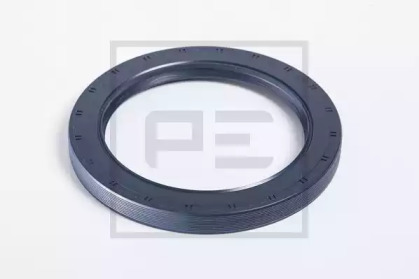 PE AUTOMOTIVE 250.216-00A