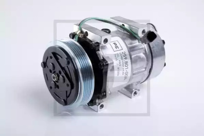 PE AUTOMOTIVE 259.801-00A