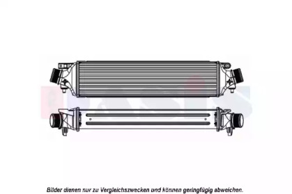 AKS DASIS 017003N