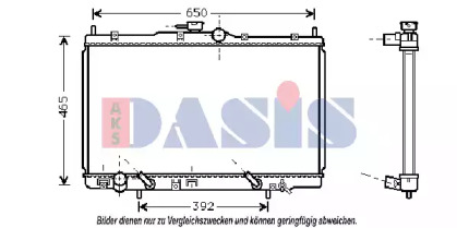 AKS DASIS 100019N