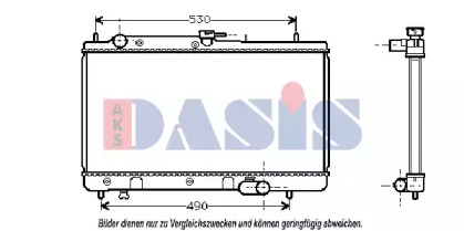 AKS DASIS 110970N