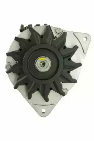 friesen 9036591