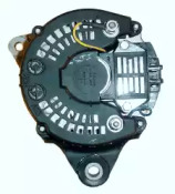 friesen 9038821