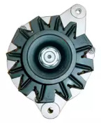 friesen 9051537