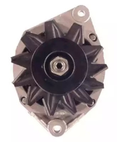 friesen 9938351