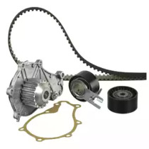 DELPHI KWP2534493