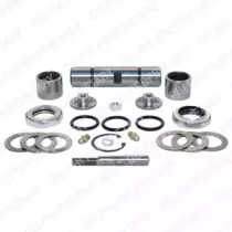 DELPHI TD216W